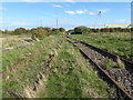 Old railway lines on Ridham Marshes in ME9 8SS