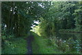 Lancaster Canal at Town Croft Wood in PR3 0PZ