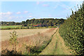 Towards Orpenham Farm in RG20 8NP