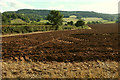 Ploughed field near Country View farm in EX6 7XY