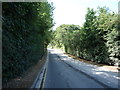 Road to Reapers Wood Quarry in LA5 9AJ