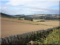 Patchwork of fields in Fife in KY15 4SL