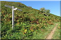 Permissive path to Hallsands in TQ7 2EN
