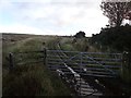Path over the Moor at Creag Saval in IV27 4ED