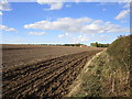 Ploughed field alongside the A164 in YO25 9QE