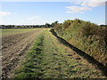 Scurf Dike and footpath to Cranswick in YO25 9AG