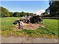 Tree stump in Wythenshawe Park in M23 1AJ