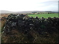 Wall and fields on Osmotherley Moor in DL6 3QB