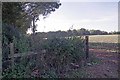 Remains of a Stile in CM5 9RH