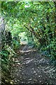 Bridleway to Uploders in DT6 4NN