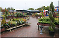 Christies Garden Centre, Fochabers in IV32 7PF