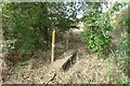 Footpath crossing a stream on the way towards Priory Farm in Nevill Holt