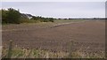 Field, edge of Macmerry in EH33 1RW