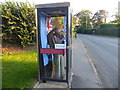 An unusual use for a telephone box in DN21 5NT