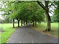 Path through Queen's Park in ST3 4NZ