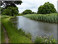 Towpath along the Leeds and Liverpool Canal in West Lancashire District (B)