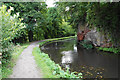The Staffordshire & Worcestershire Canal near Cookley in DY11 5XJ