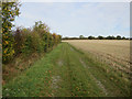 Bridleway to Waresley Wood in SG19 3BN