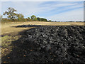 Burnt straw and stubble field in SG19 3BN