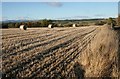Stubble field and bales in PH4 1QR