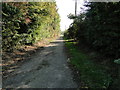 Lane or driveway leading to Wooffull Farm House in NR20 4RX