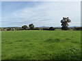 View to The Wrekin from near Longden Common in SY5 8AE