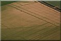 Crop marks on field on Gosberton Fen: aerial 2018 in PE11 4JP