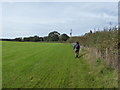 Walking a footpath at the field edge near Longden Common in SY5 8AE