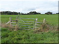 Gate in the field edge in SY5 8EG