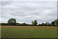 Field off Shellow Lane in CM1 2DQ