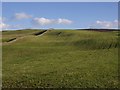 Fields above Blackstairs in DG2 0SR