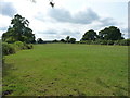 Pasture field west of Hill Fields Farm in CV5 9BX