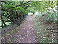 Bridleway on Mynydd Llangorse in LD3 7UH