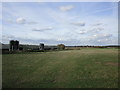 Grass field and poultry houses in NG22 0EQ