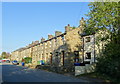 Terraced housing on Burnley Road East (B6238) in BB4 9NG