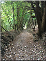 Bridleway 35 Reigate in RH2 9PF