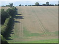 Sloping field at Asheridge Bottom in HP5 2XA