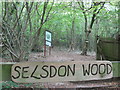 Selsdon Wood on the London Loop in CR0 9AF