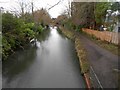 Basingstoke Canal: View from Old Pondtail Bridge in GU51 3DT