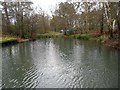 Basingstoke Canal: Pondtail Basin or Winding Hole in GU51 3DT