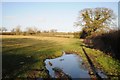 Wet farmland near Hinton Blewett in BS39 5AJ