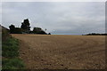 Ploughed Field beside Bury Lane in CM3 1AY