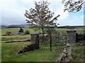 St Finan's Kirkyard gates, Migvie in AB34 4XP