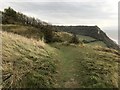 Coast Path near cliff edge in EX10 0PH