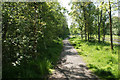 Path by the Bridgewater Canal in M28 2GU