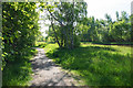 Path by the Bridgewater Canal in Boothstown & Ellenbrook Ward