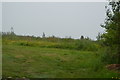 Grassland on the edge of Malborough in TQ7 3RJ