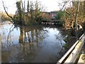 River Itchen: Gaters Mill and Bypass Channel in SO18 3LQ