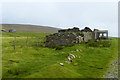 Derelict House near Valsgarth in ZE2 9ED