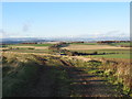 Short spur on track at East Hills by Redford near Forfar, Angus in DD8 2SS